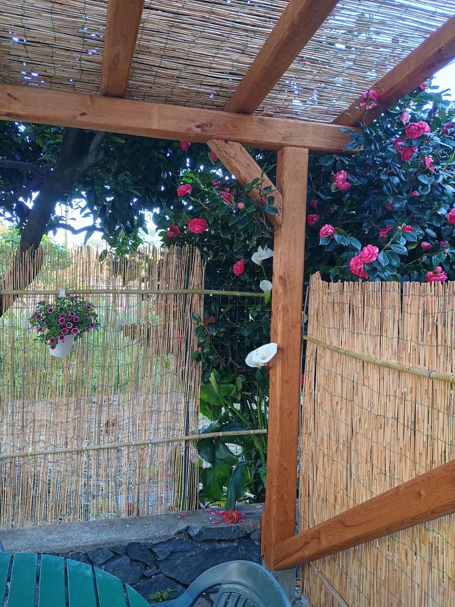 Villa La Casa Dei Due Aranci Albisola Superiore Exterior foto